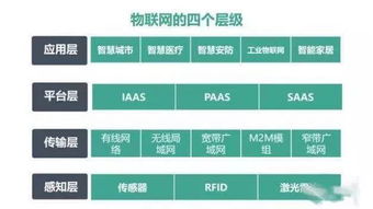 學(xué)小實，學(xué)大事 物聯(lián)網(wǎng)走進智能生活